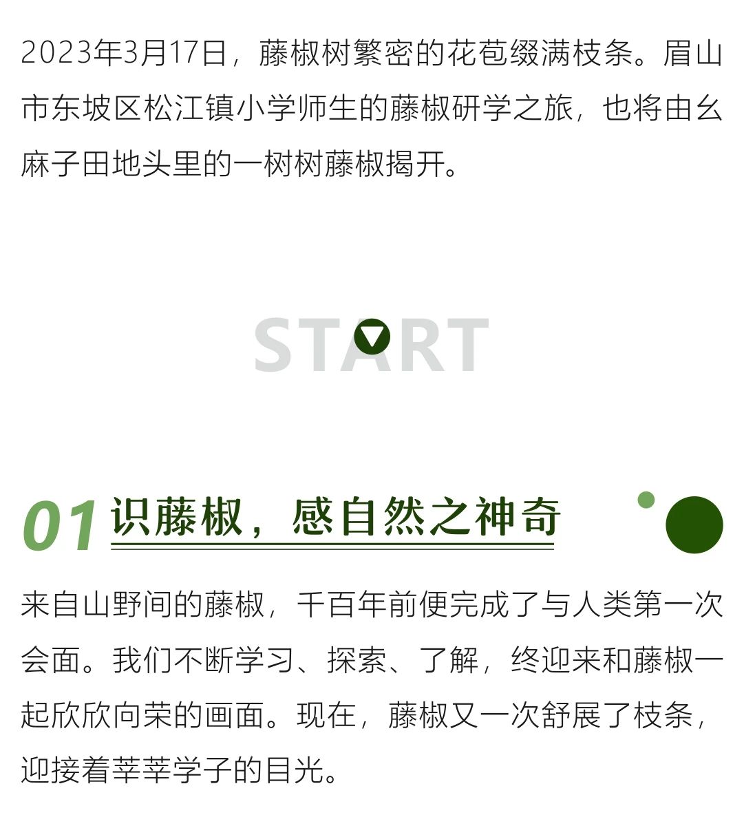 微信图片_20230324101607.jpg